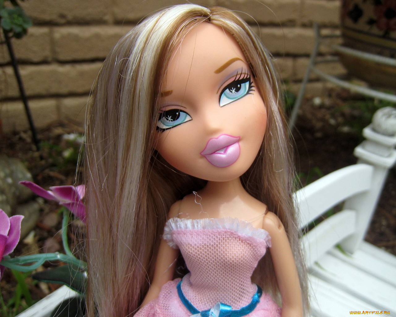, bratz, 